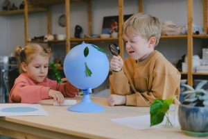 Fieldwork projects connecting science to local ecosystems