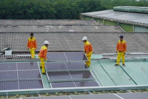 Solar panels becoming a must-have upgrade