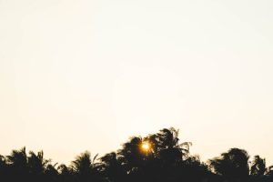 Sunrise yoga retreats in tropical settings