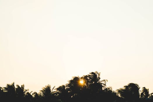 Sunrise yoga retreats in tropical settings