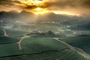 Village markets that come alive at dawn