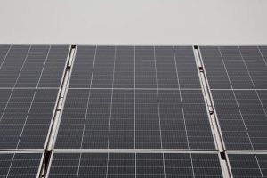 Sustainable Brands Leading Environmental Change Through Commerce