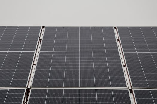 Sustainable Brands Leading Environmental Change Through Commerce
