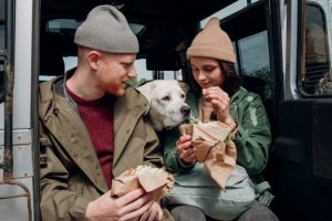 Pet Feeders That Schedule Meals Automatically