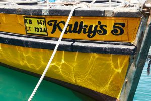 Island expeditions with marine biologists