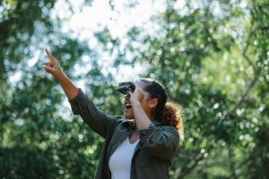 Forest canopy walks for birdwatching enthusiasts